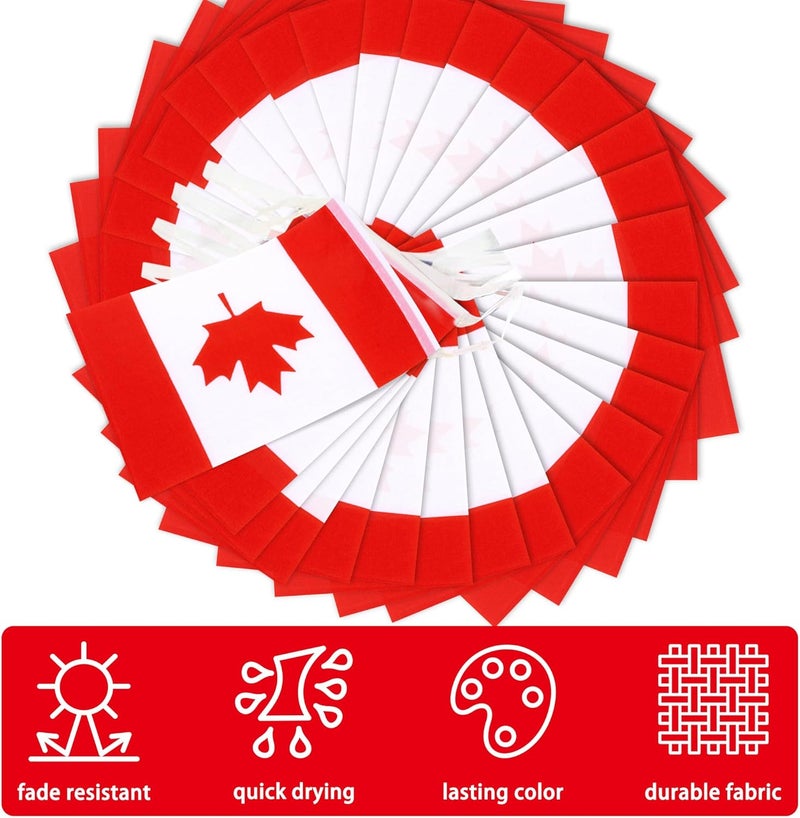 MVPRING Canada String Flag Pennant Banner, Small Mini Canadian Flags Bunting Banner, Canada Day Dominion Day National Country Decoration for School, Party, Sports Events, Patriotic Festival, 33 Feet 30 Flags - Image 4